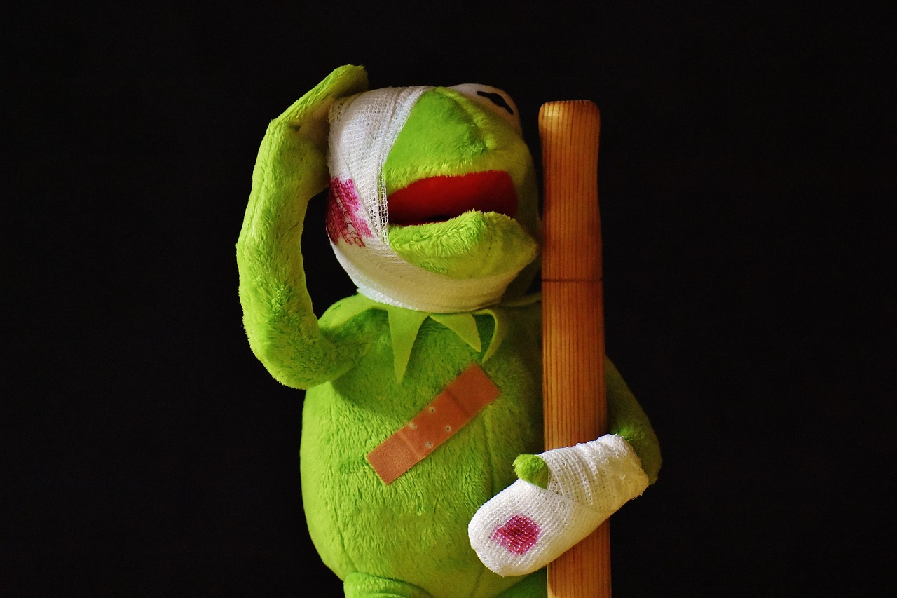 kermit, injured, pavement-2001219.jpg